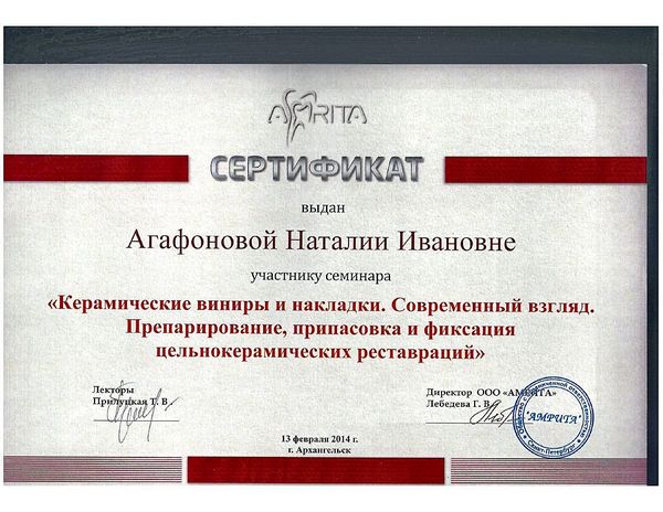 Керамические виниры и накладки, современный взгляд (2014) — Агафонова Наталия Ивановна
