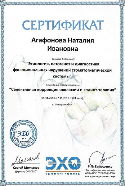 Функциональные нарушения стоматогнатической системы, сплинт-терапия (2013) — Агафонова Наталия Ивановна